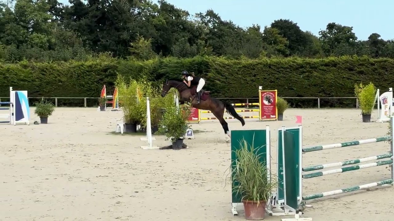 Dryade du thar 120 Auvers