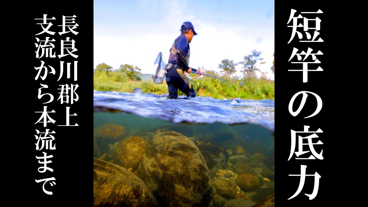 鮎釣り　短竿の威力を見てほしい