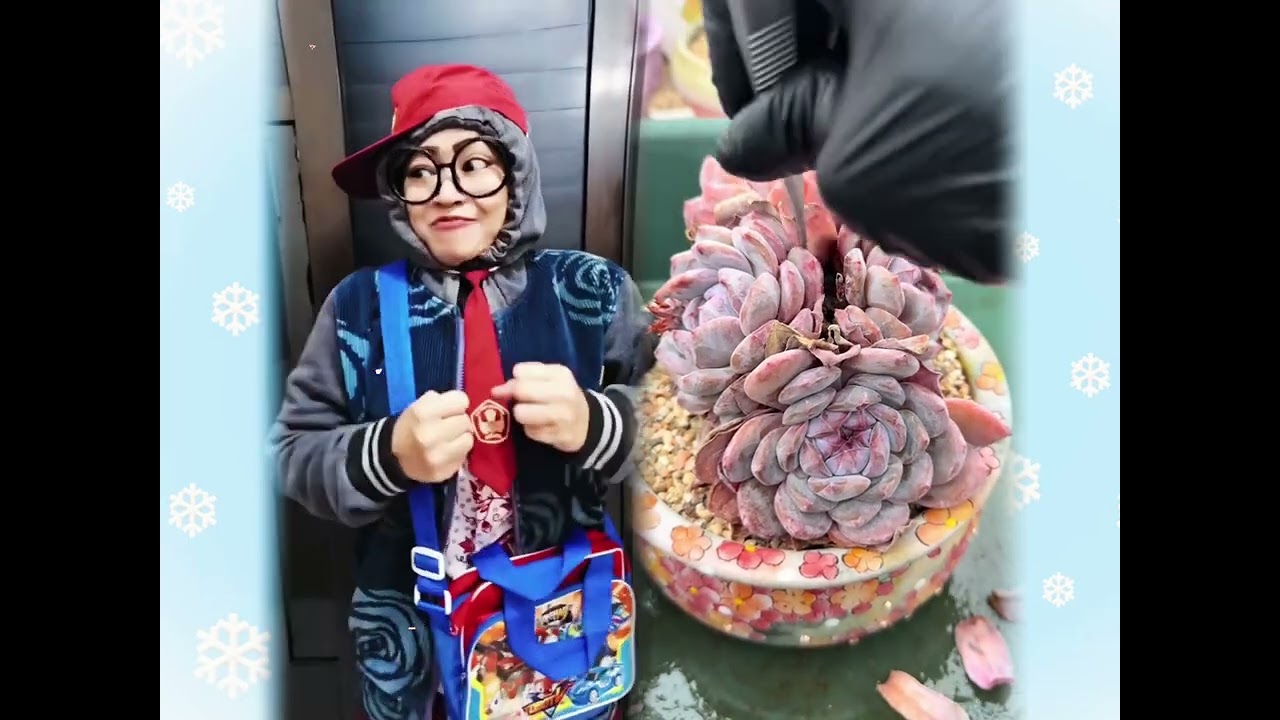 🤣👌👌👌2026 pov Must-Watch Crazy Clips Compilation 