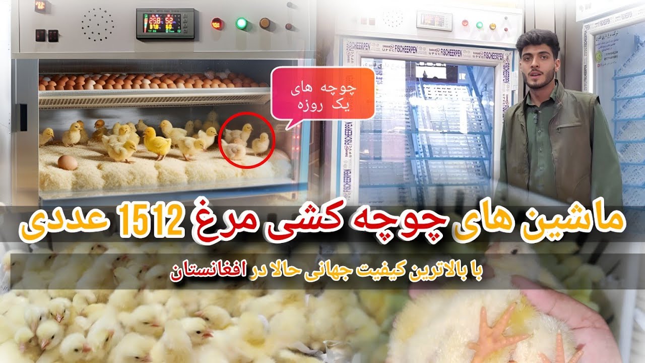 ماشین های چوچه کشی مرغ 1512 عددی با بالاترین کیفیت جهانی در افغانستان || شرکت مرغداری فقیری