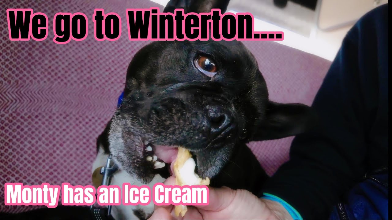 Monty and Me: Winterton - On - Sea