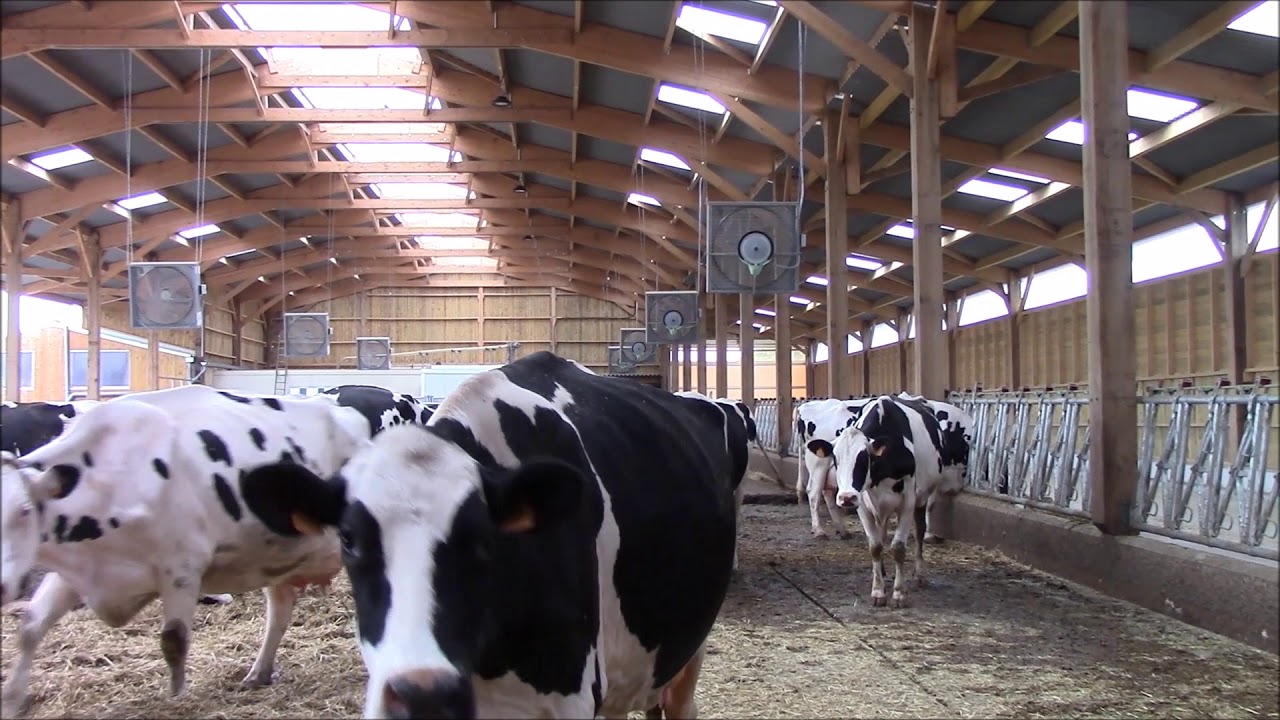 La SAMA TECH'ELEVAGE vous présente le système de ventilation/brumisation ORELA.