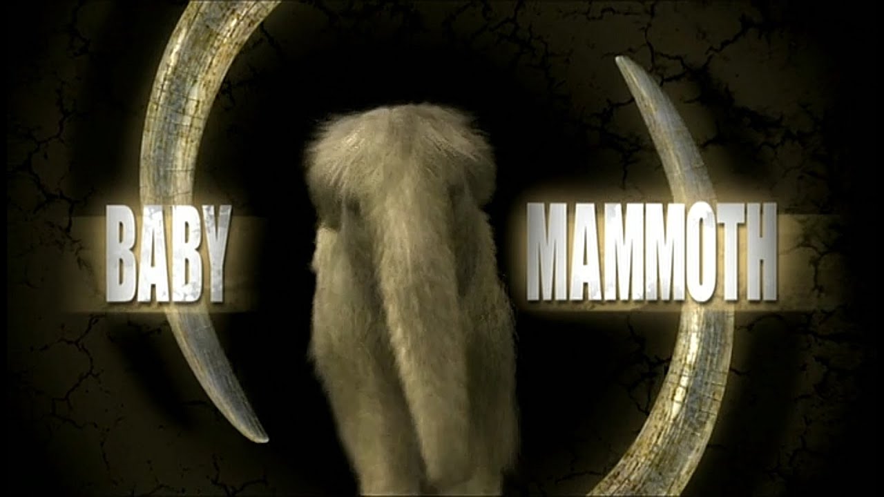 Baby Mammoth (2007)