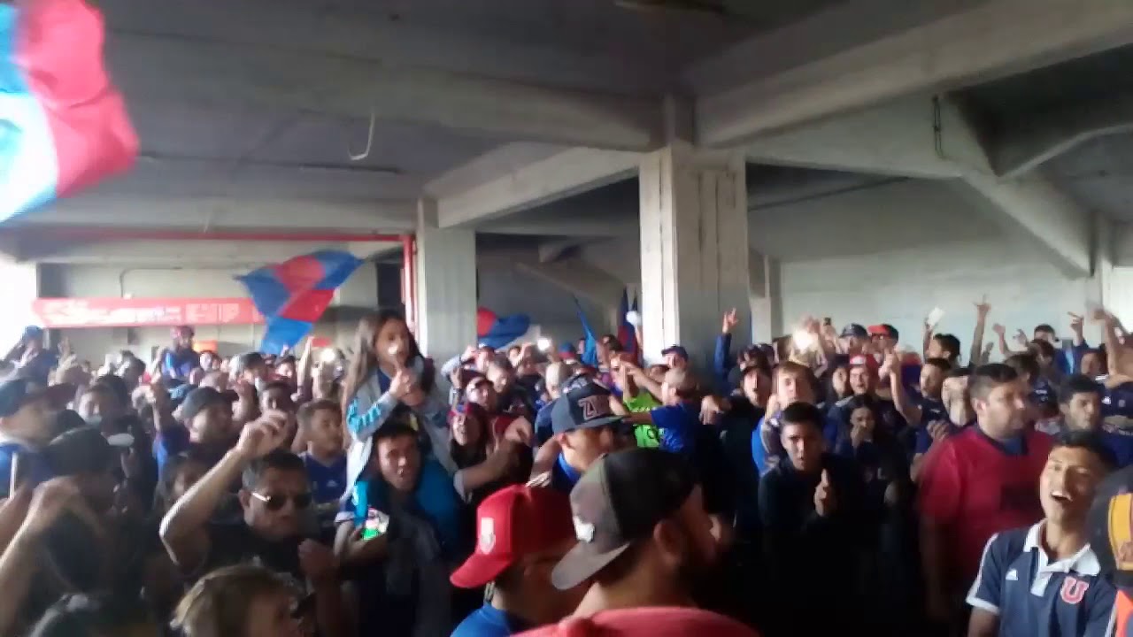 Los De Abajo-No tengo plata pero voy igual!