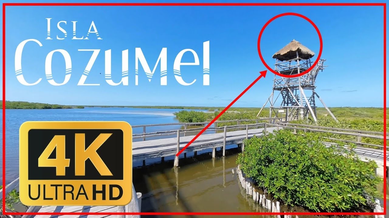 Recorrido por el PARQUE PUNTA SUR Isla Cozumel Quintana Roo México / la entrada tiene costo