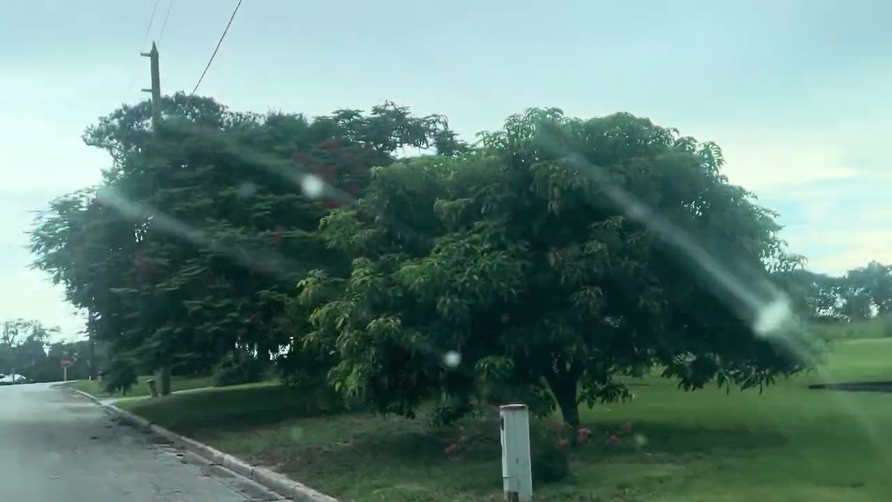 Sebring Florida