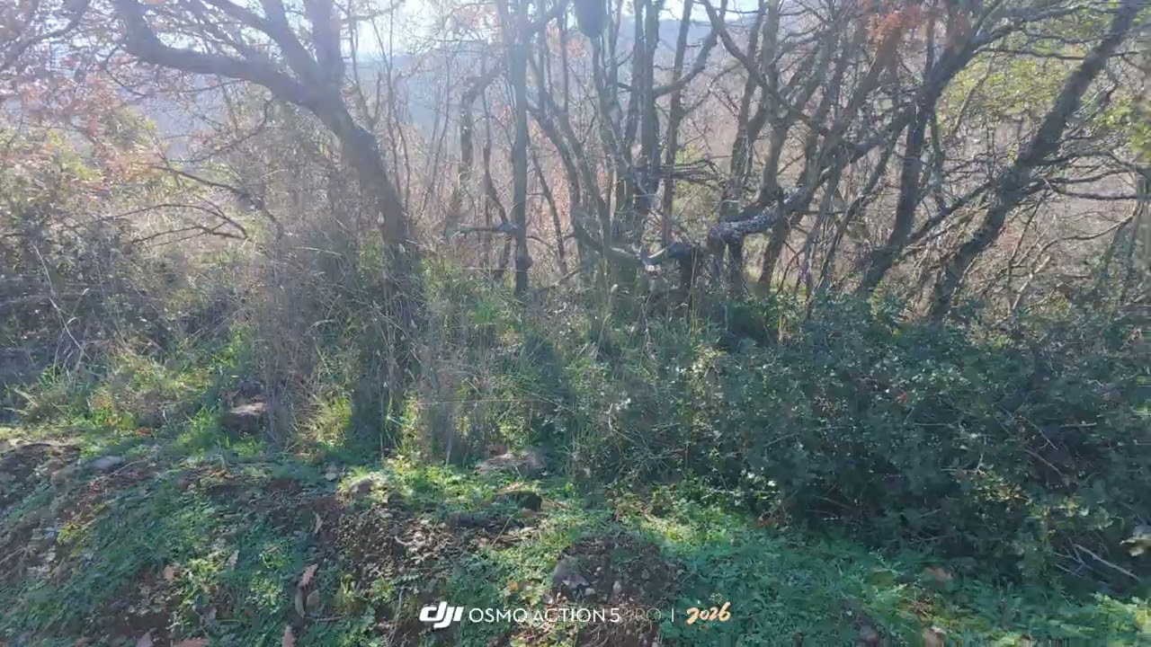  Ο Τρομερός TIMUR: Σταθερή Φέρμα & σερβίρισμα! Με έξυπνη κίνηση έστειλε την Μπεκάτσα στην μεριά μου!