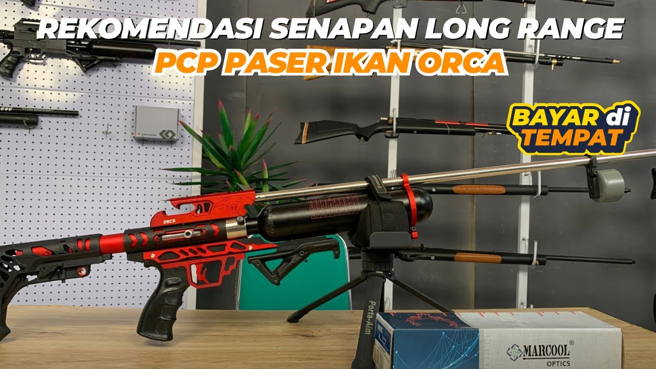PCP PASER IKAN ORCA HARGA TERJANGKAU BOSKUU‼️