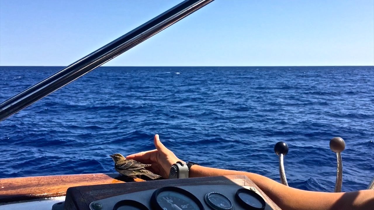 Crossing The Gulf Stream In 34' Trawler