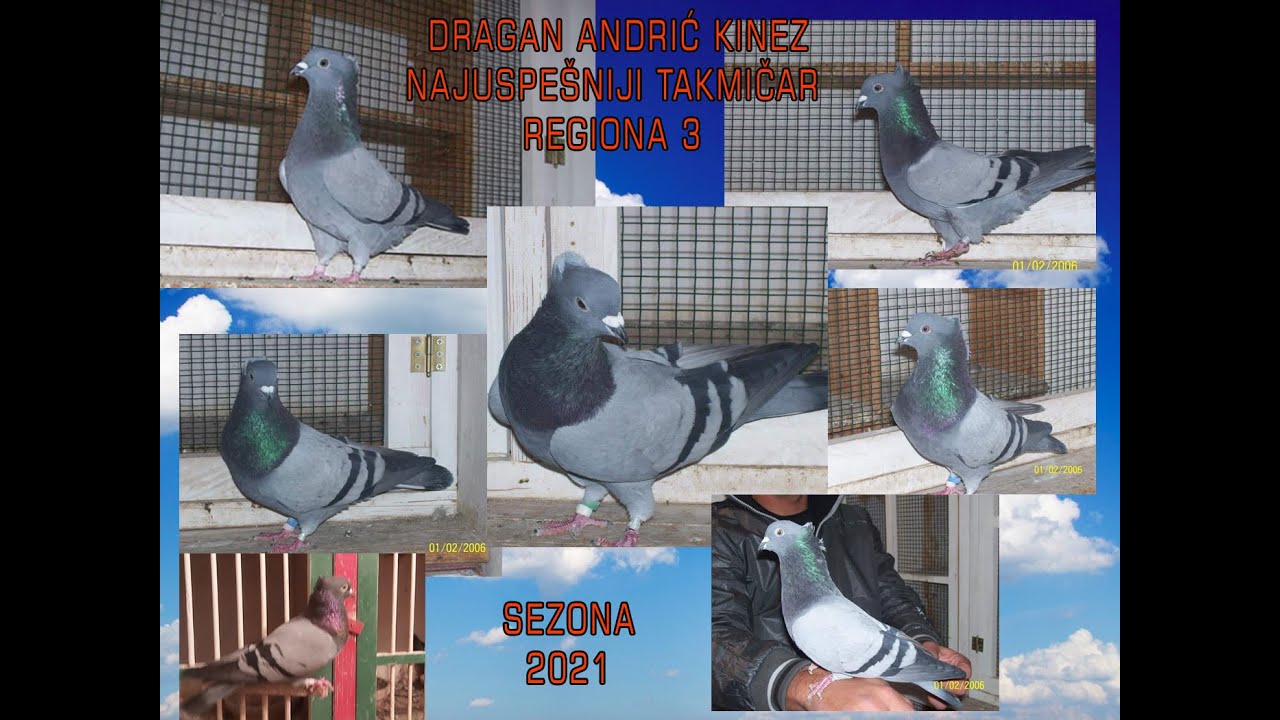 Dragan Andric Kinez najuspesniji takmicar regiona 3 sezona 2021