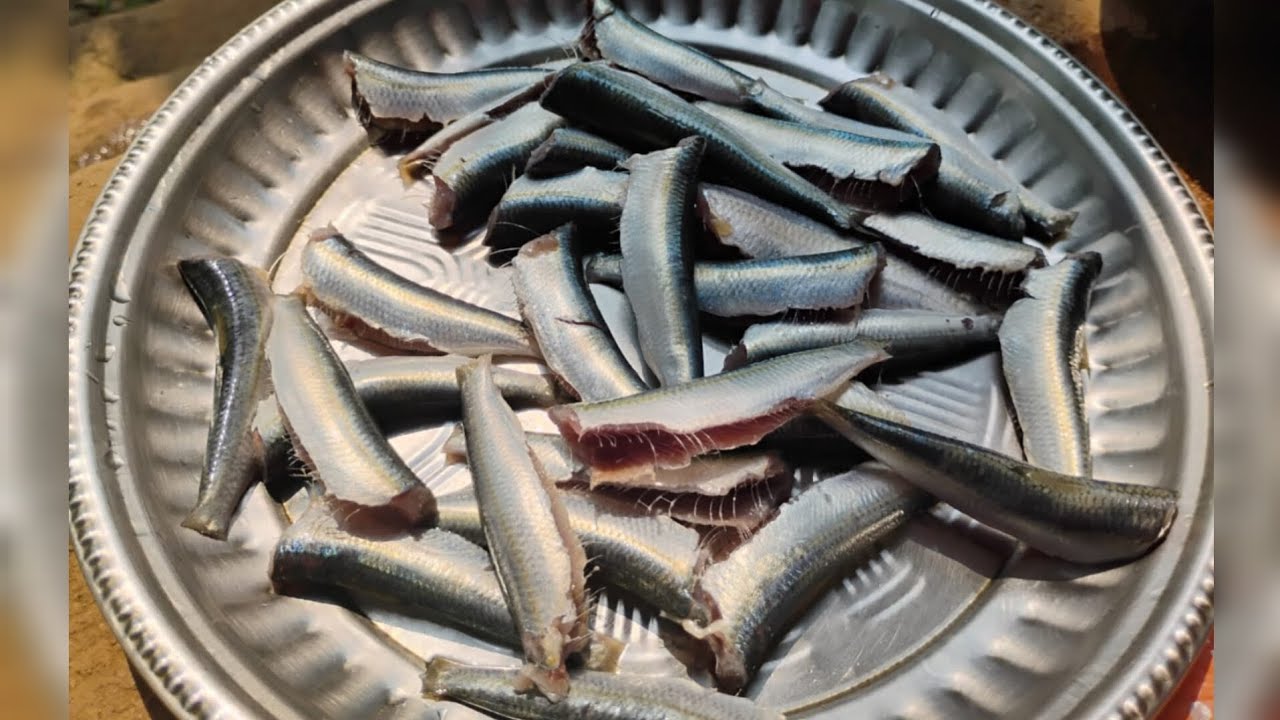 ईरडा माशे | Erada fish#malvanivlog #gav #youtubevideo #konkan #fishvideo #gavchi #marathivlog 