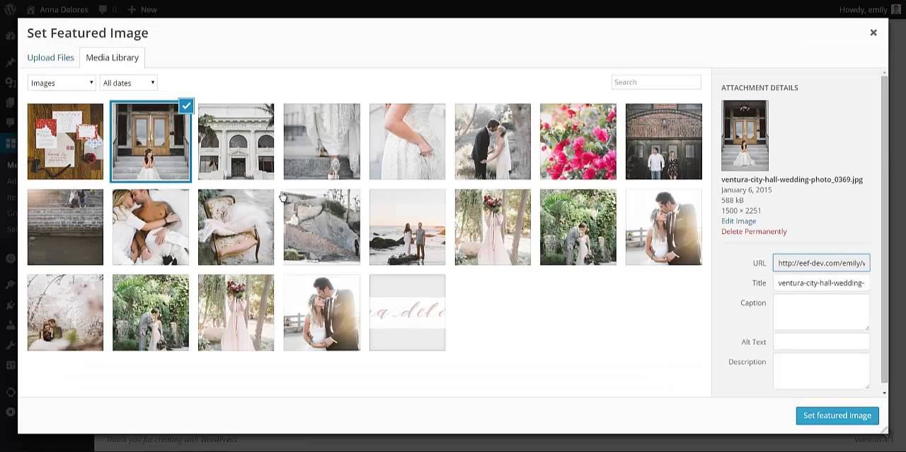 How to use the Media Grid WordPress plugin
