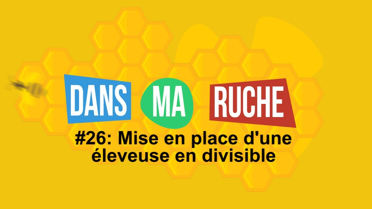 #26-L'éleveuse en divisible