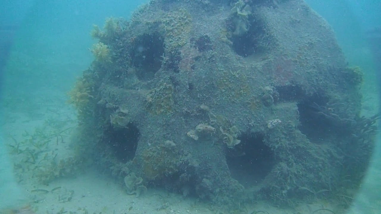Papua New Guinea's first man-made reef 2.5 years underwater