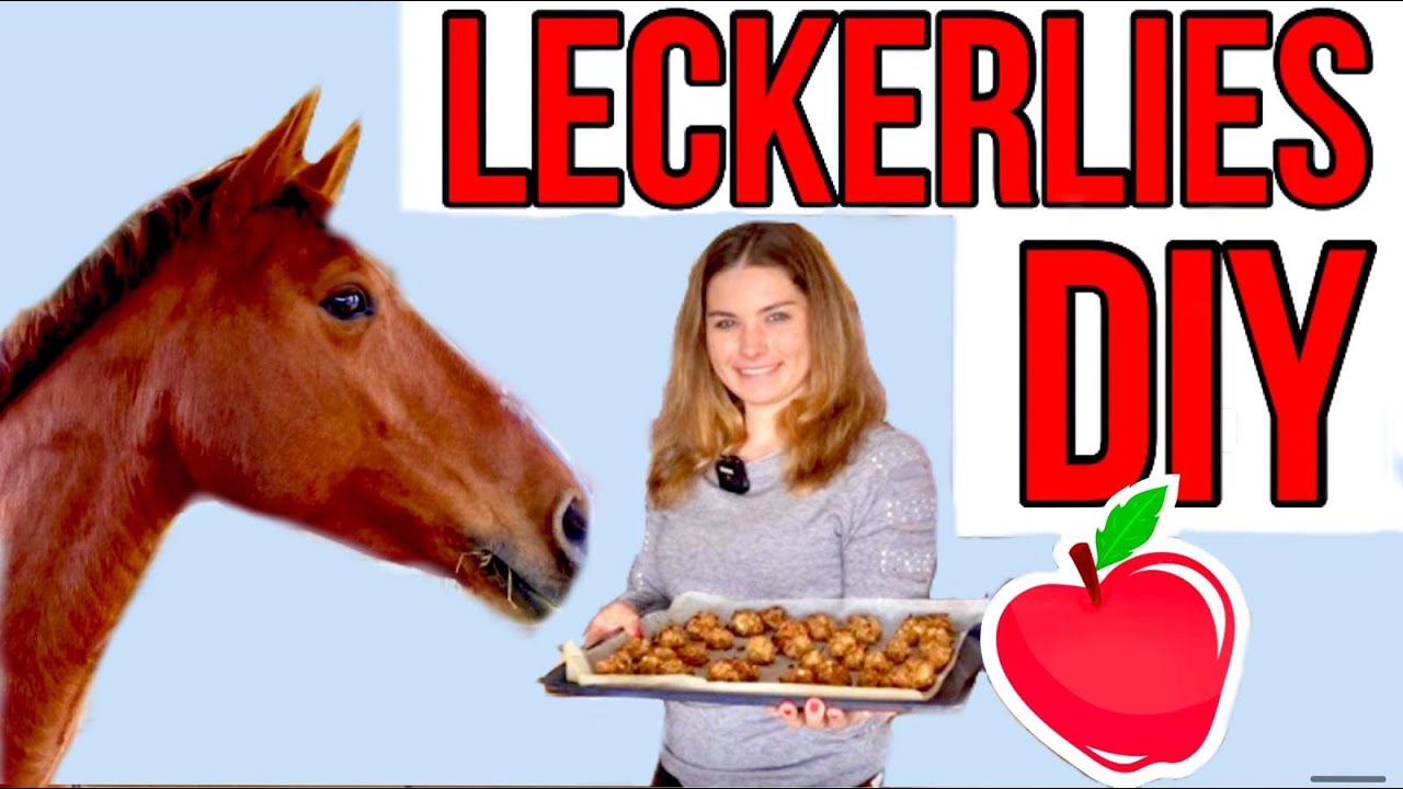 Pferdeleckerlies selber machen I DIY I Schnell und einfach!