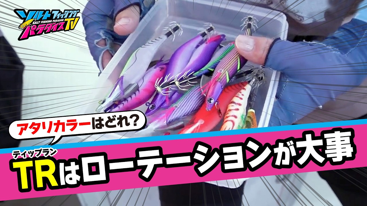 アタリを確実にとって連発せよ！秋のティップランエギング！（ソルパラTV・2025年10月10日公開）