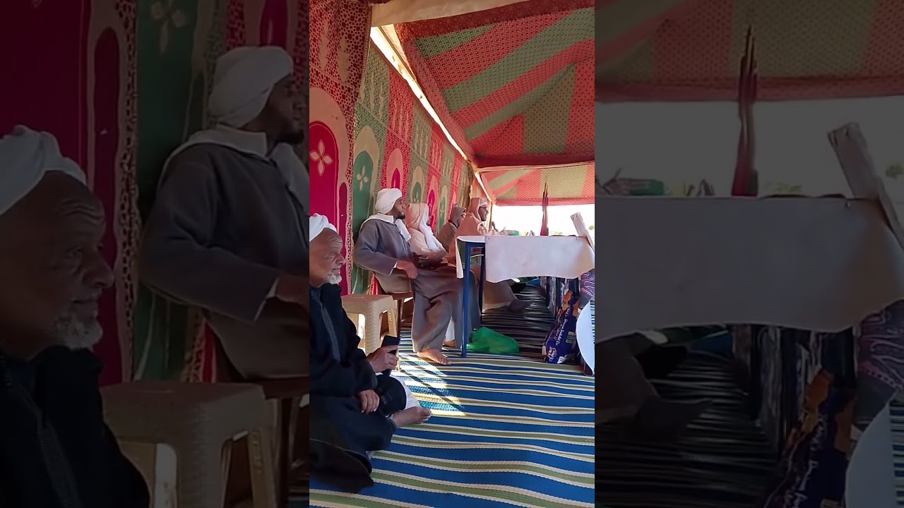12 فبراير 2026