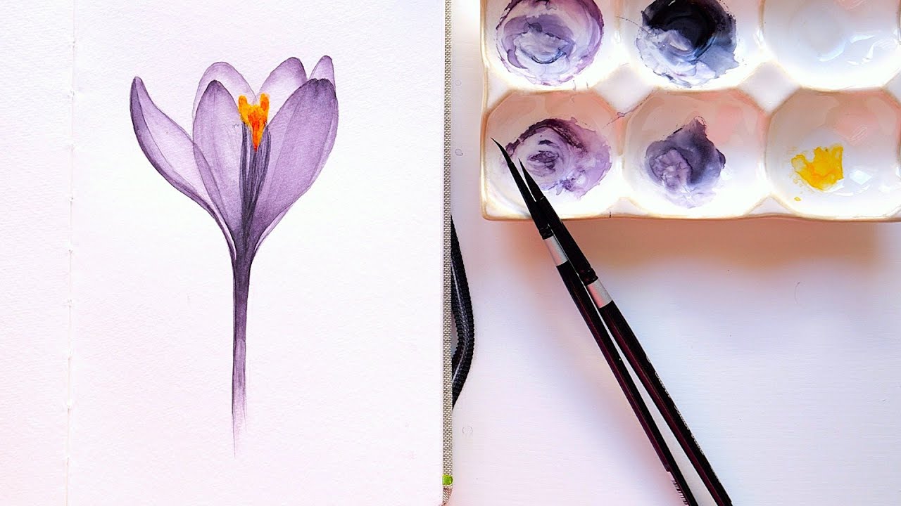 How to Paint Transparent Purple Crocus Flower in Watercolor