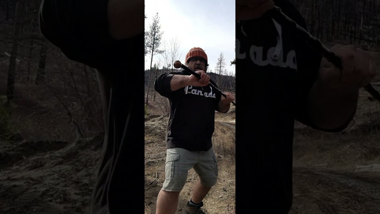 Mind First... Then Movement Wayfarer's Shillelagh Blackthorn Stick Fencing