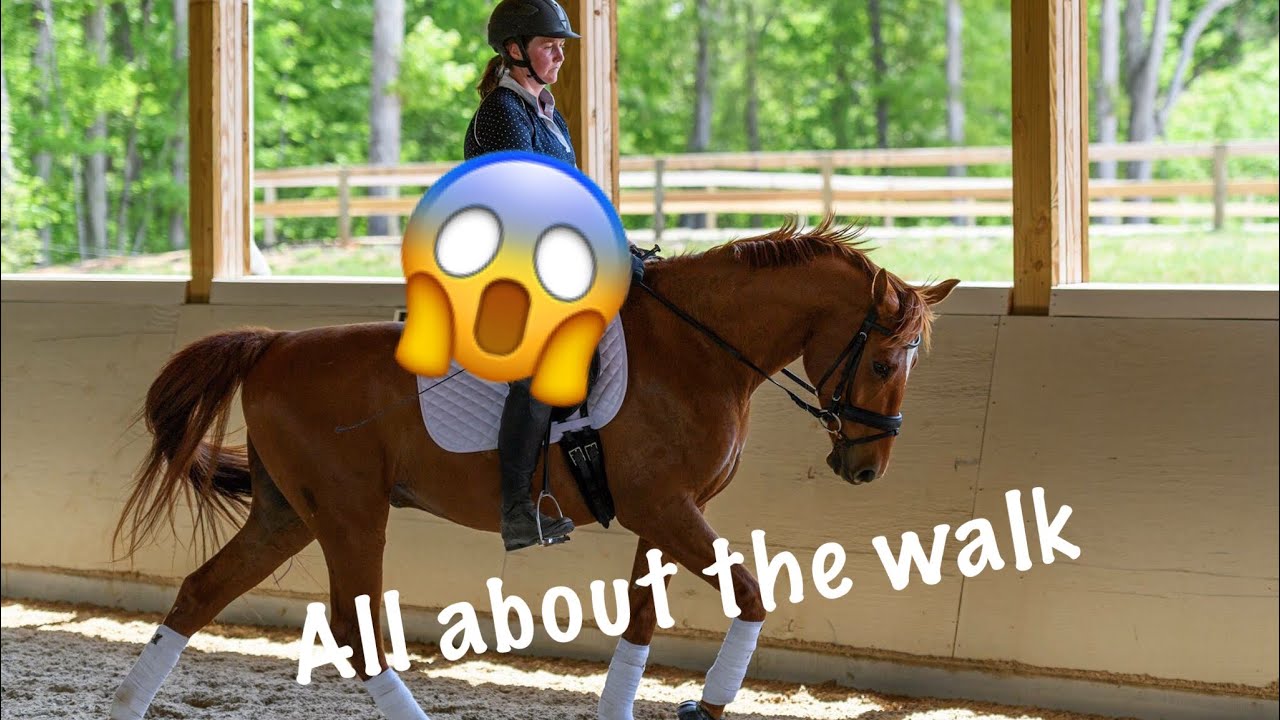The walk is the easiest gait to RUIN