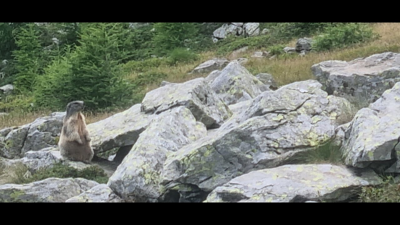 Rifugio Falc ( Val Gerola; Orobie Valtellinesi)