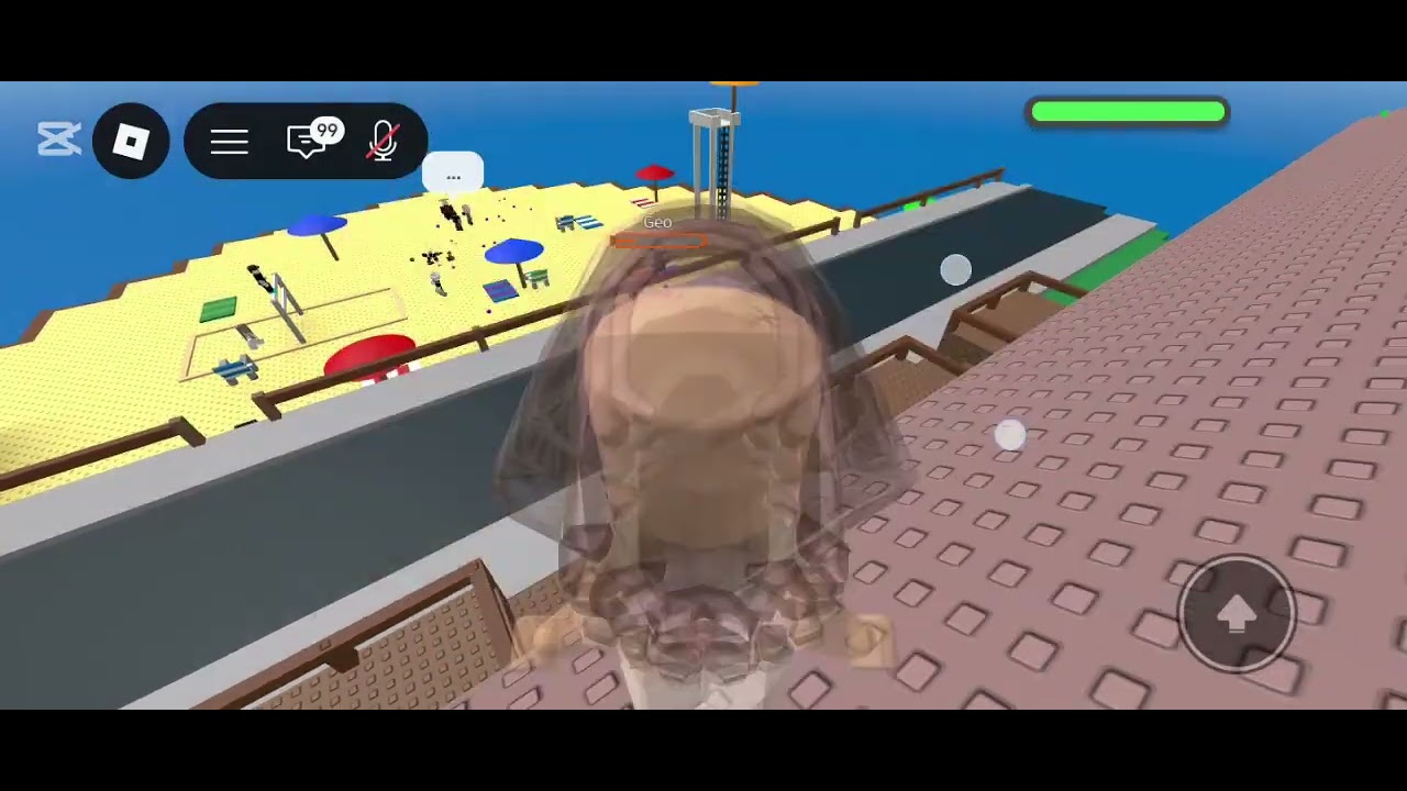 Un rato en ROBLOX