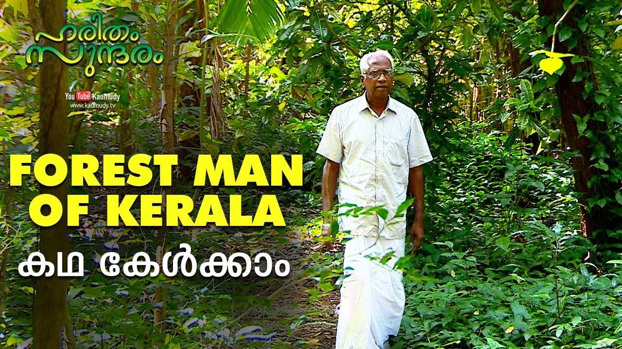Forest man of Kerala | K V Dayal | Let’s hear his story | Haritham Sundharam EP 253
