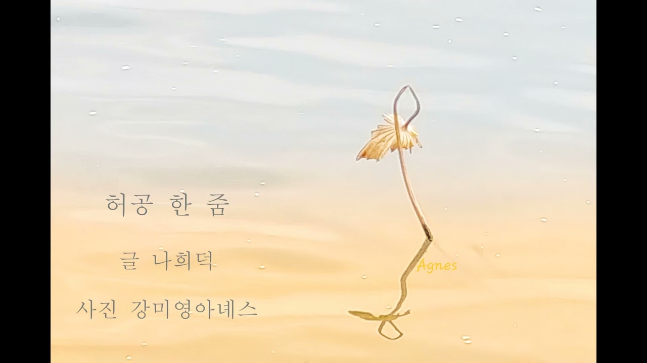 허공 한 줌/ 나희덕 시