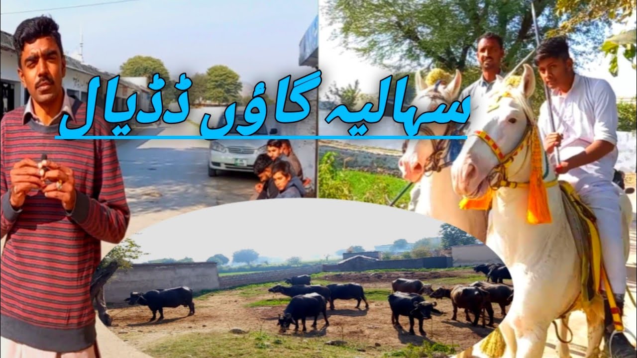Sahalia village Dadyal Azad kashmir ||| Chohan Tv