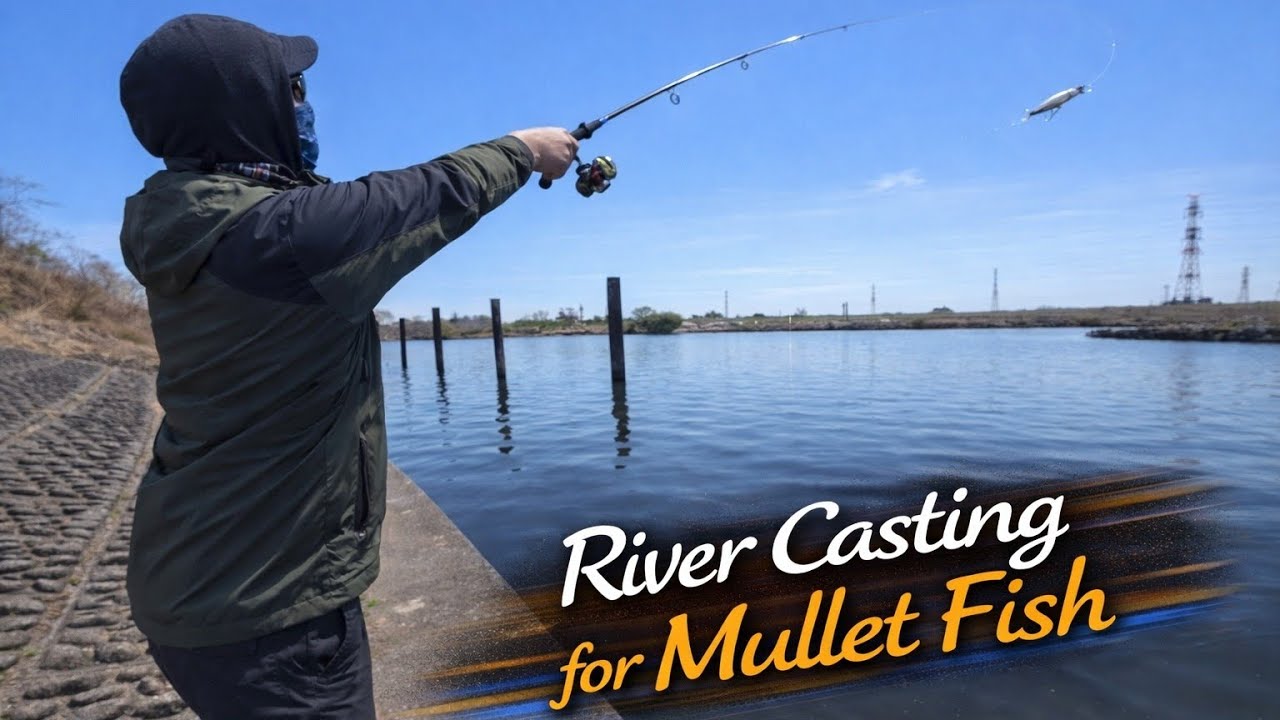 River Casting for Mullet Fish 