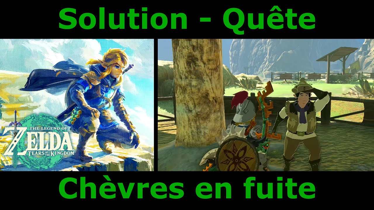 Zelda Tears of the Kingdom - Les Ch&egrave;vres en Fuite | Solution
