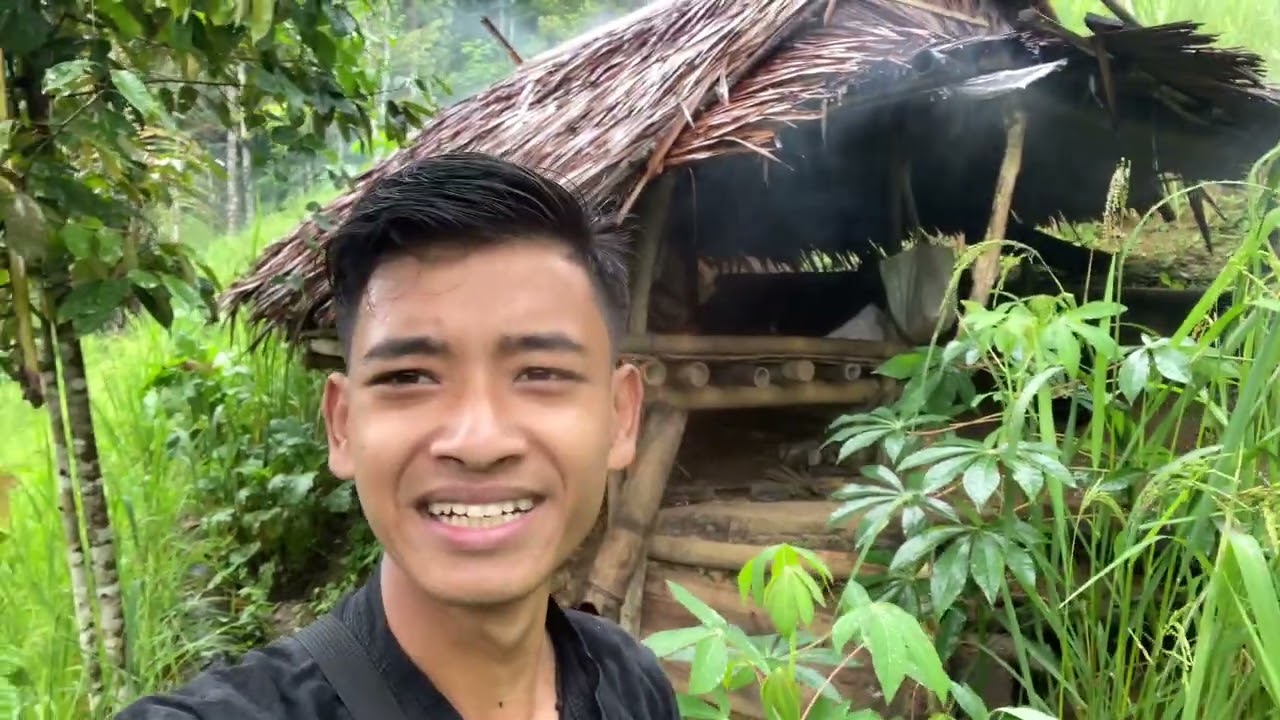Suasana sore hari di ladang ternyata di baduy sebentar lagi akan panen padi
