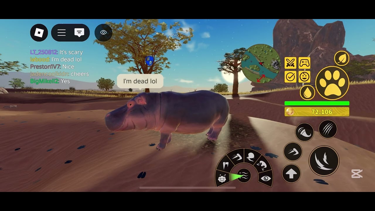 Hippo Kosing Gameplay | (w/ Rodri) | Savannah Life Roblox