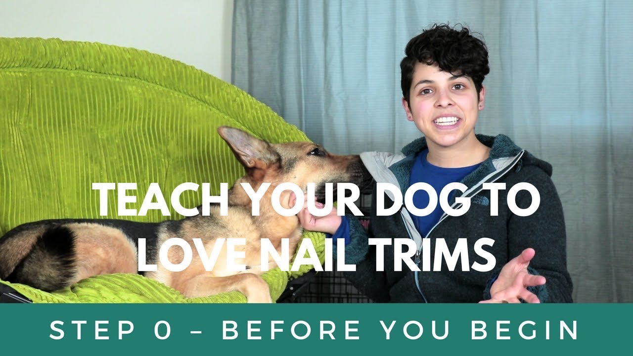 Teach Your Dog To Love Nail Trims - Before You Begin