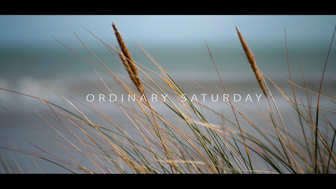 Ordinary Saturday followed by an Ordinary Storm Jorge | sony a7iii | vivitar 135mm f2.8 | Cine 2