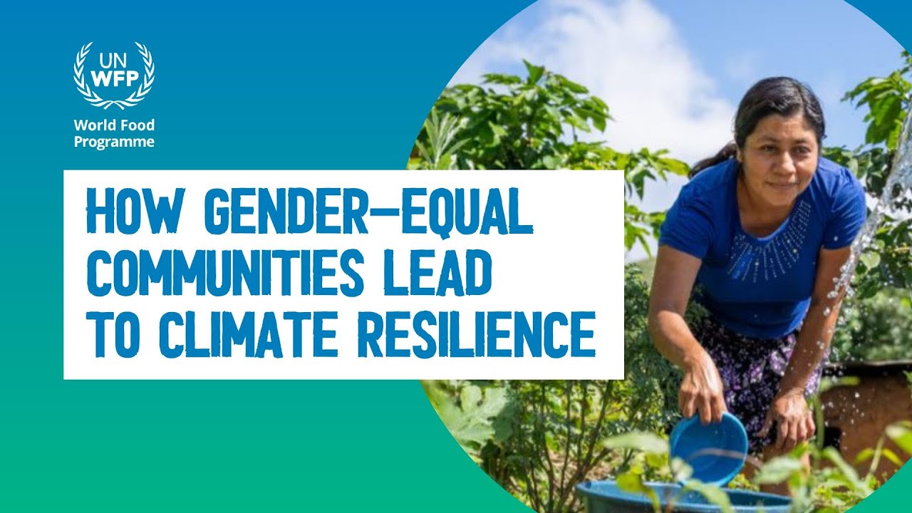 How gender-equal communities lead to climate resilience