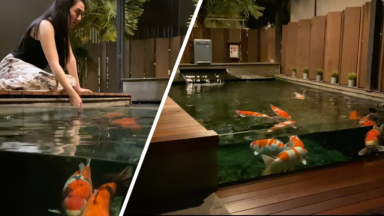 Amazing Koi Villa & Koi Pond Collection **TOUR**
