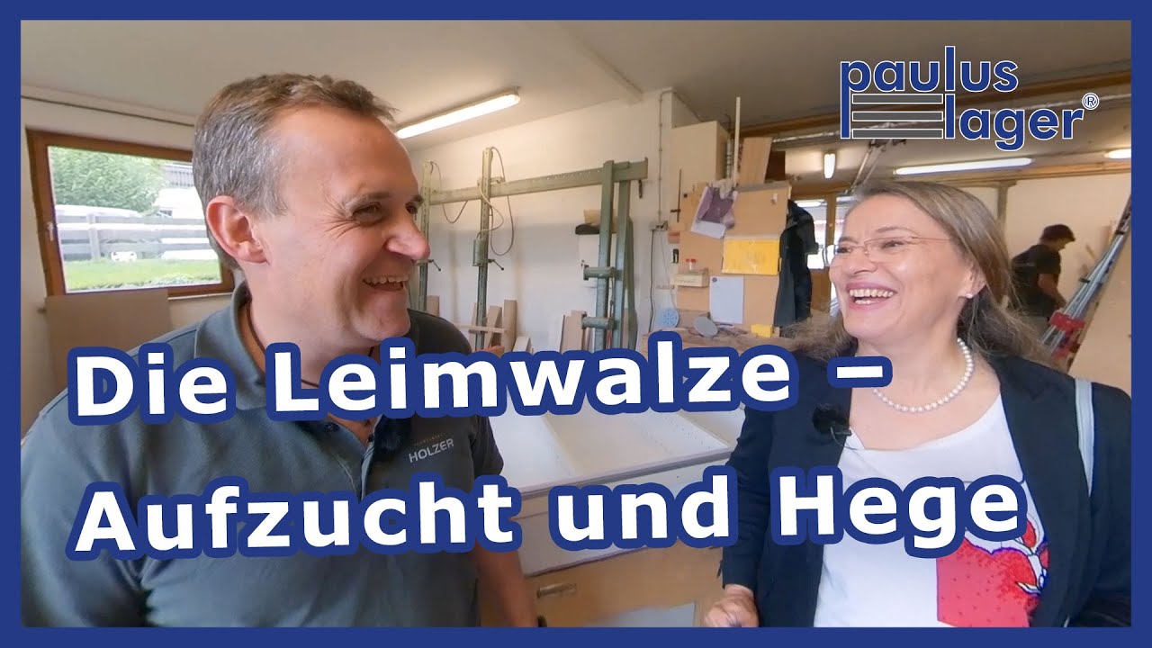 Wie eine Leimwalze den Chef entlastet