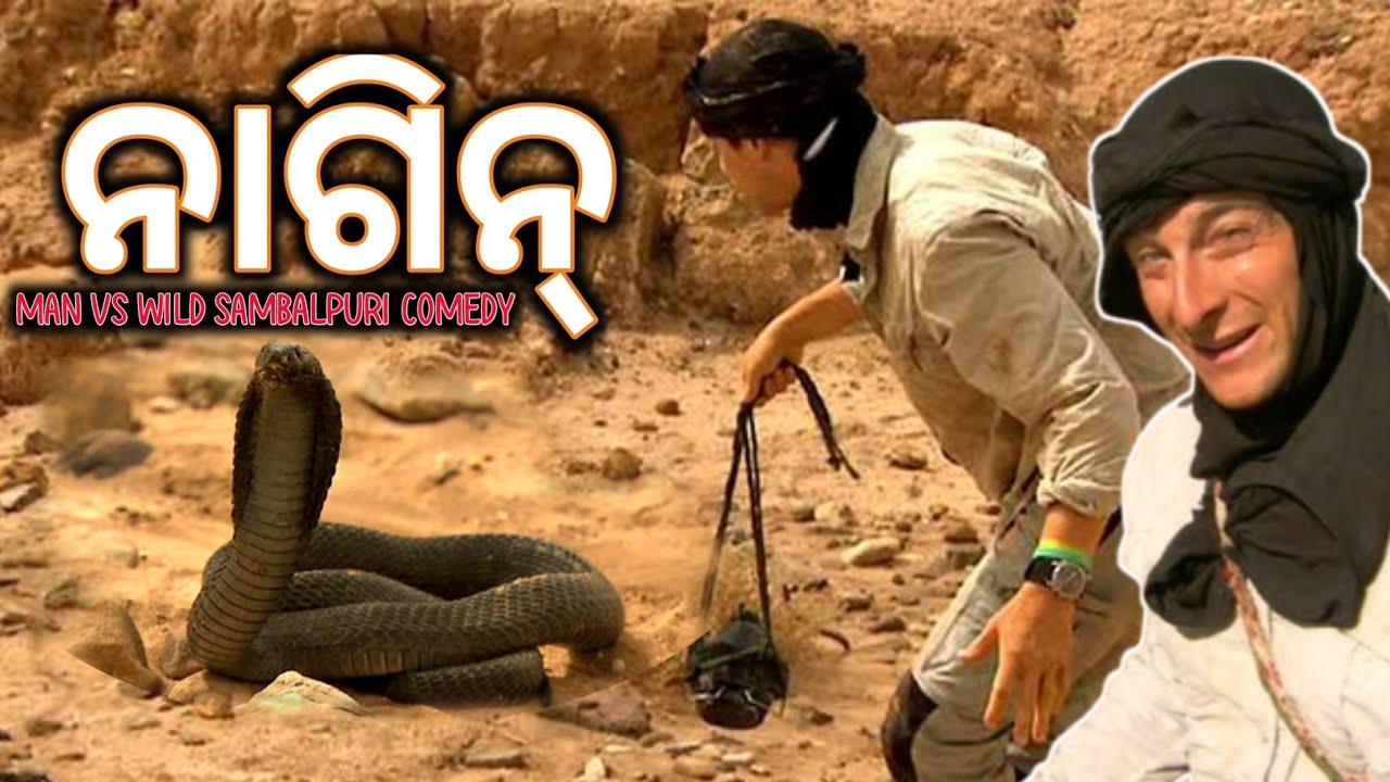Nagin - Man Vs Wild Sambalpuri Discovery Comedy video By Raj Creation 2.0