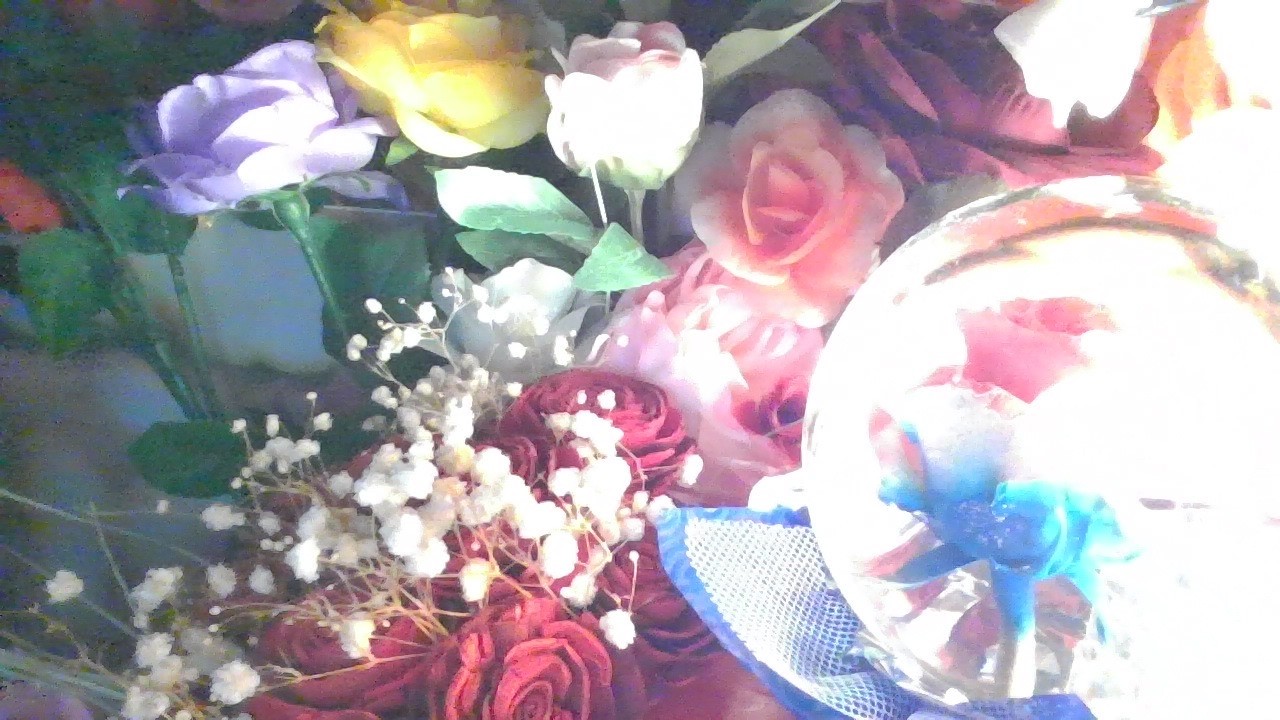 2.11.26 Wednesday morning 11:04AM 🌹