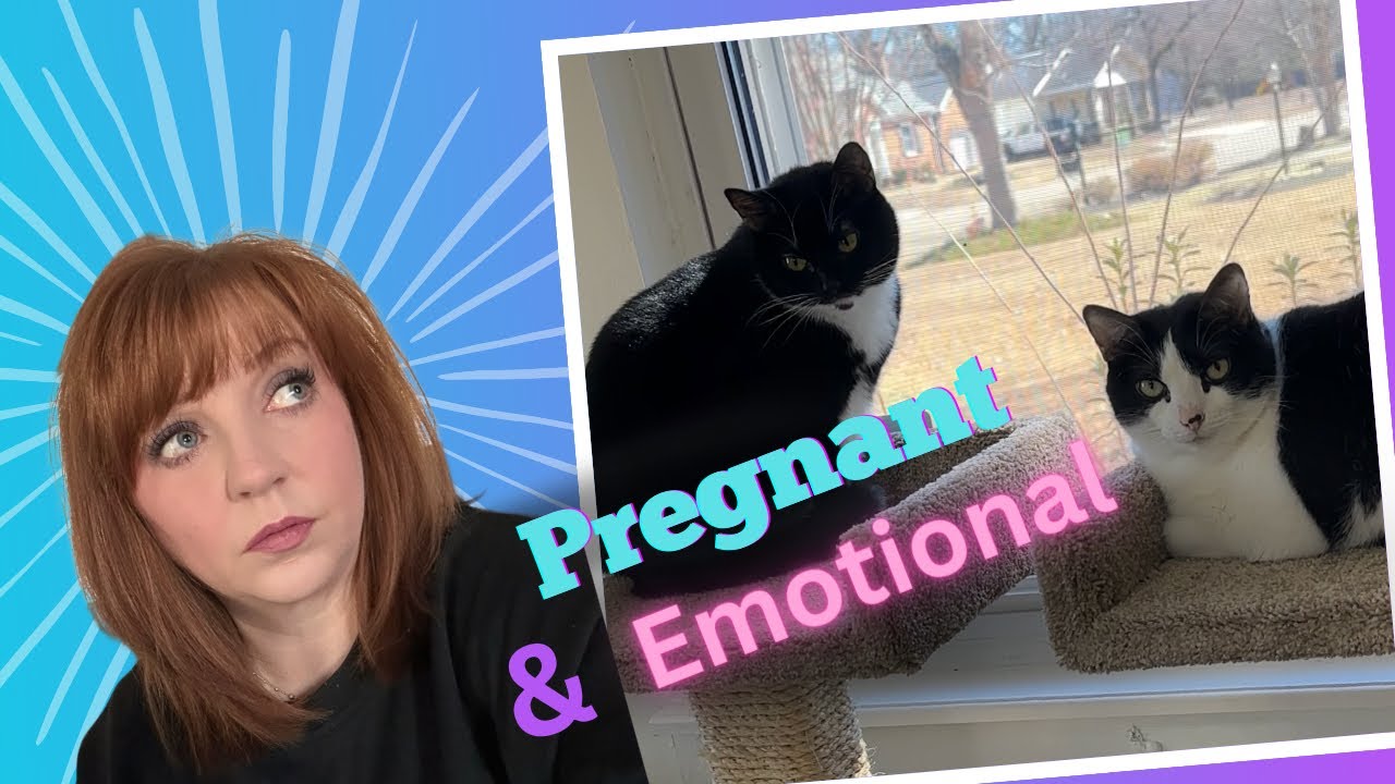 Говорящие пушистые комочки | Закадровый голос | #59