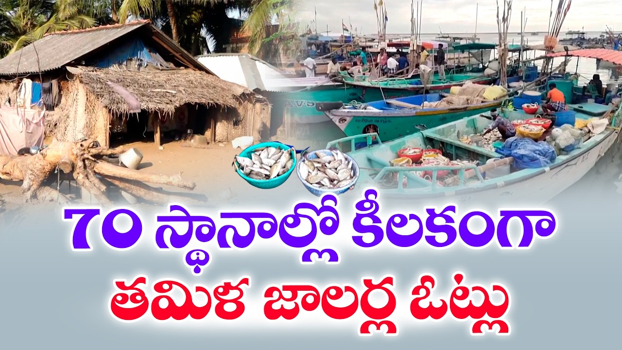 Fishermen to Decide 70 Seats in Tamil Nadu Assembly Elections | Coastal Politics Heats Up