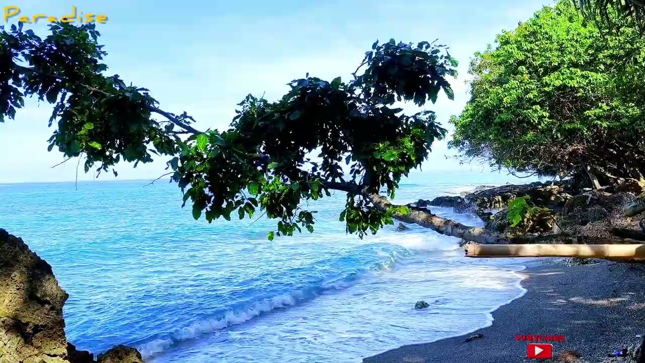 Paradise Island 