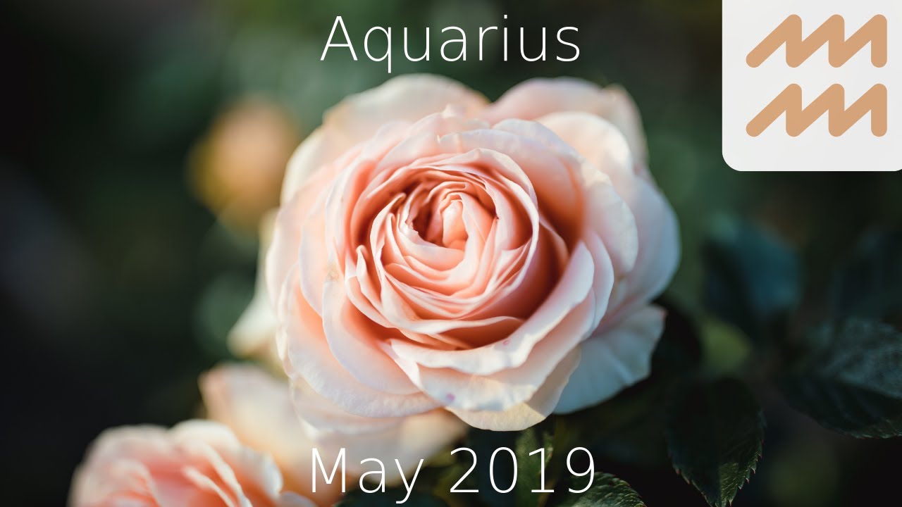 Aquarius ♒ - A love story that is not over ...