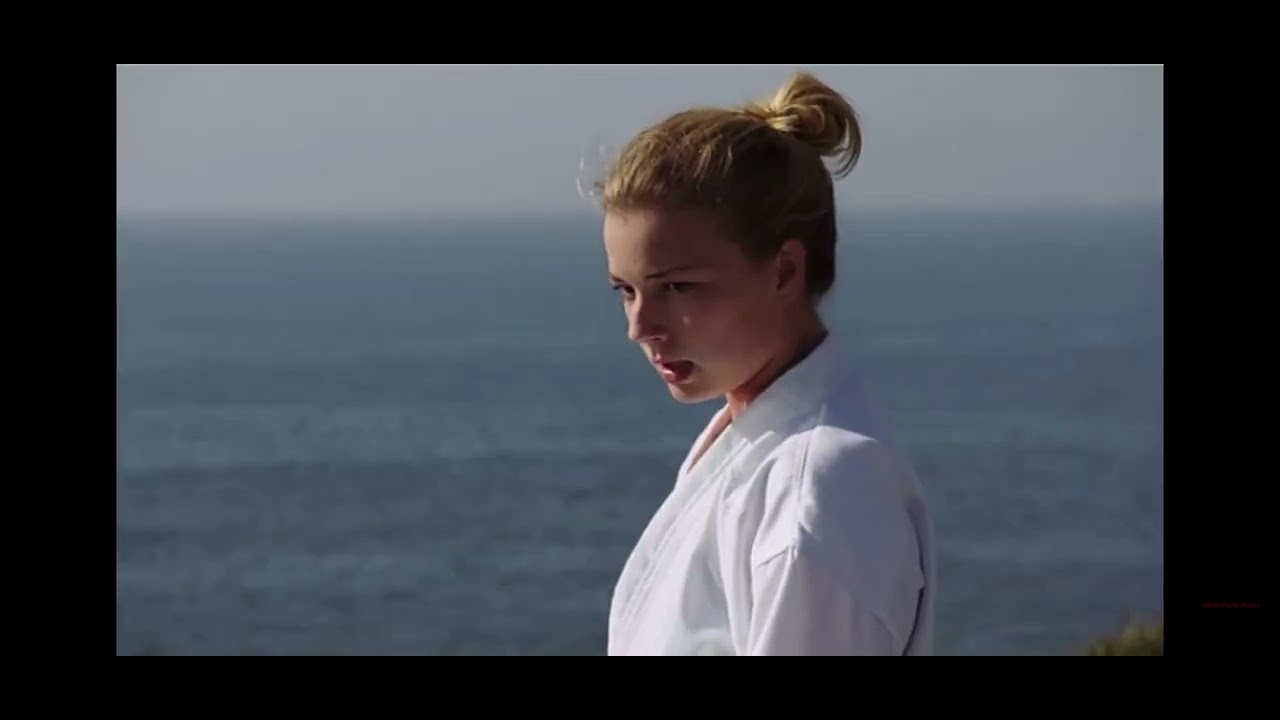 Emily vancamp karate fight scene
