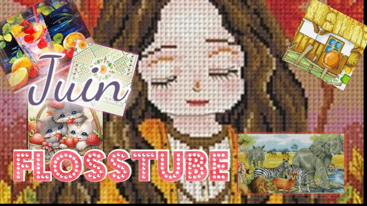 FLOSSTUBE JUIN 2024🧵🪡#crossstitch#pointdecroix#loisirscreatifs#flosstube