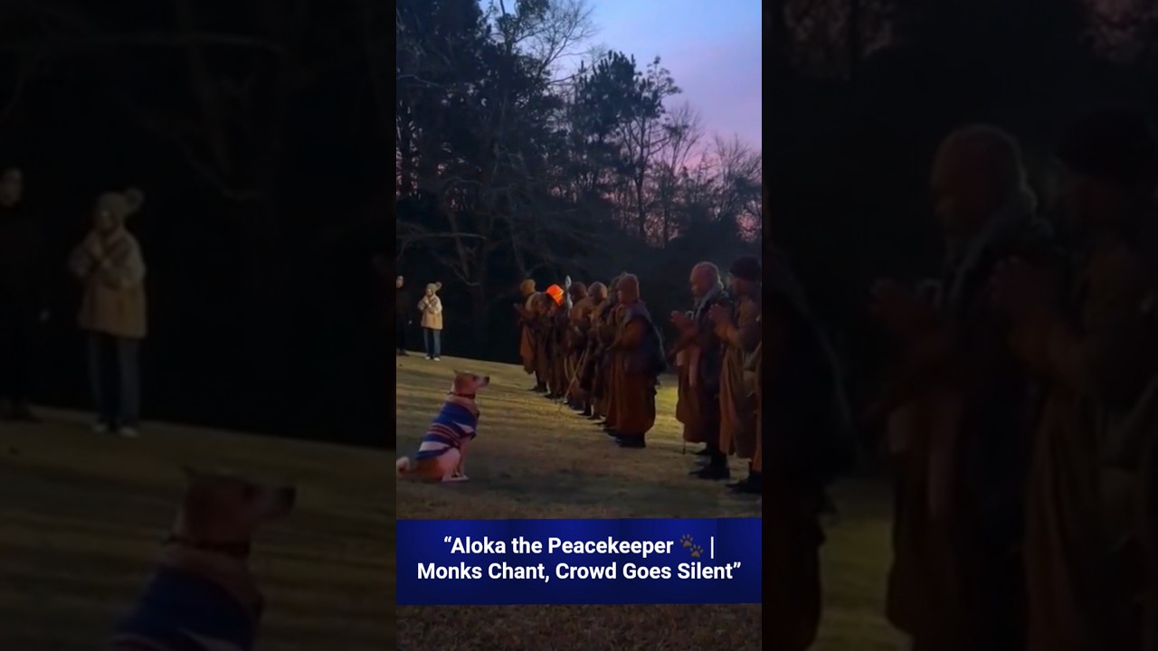 Aloka Controls the Crowd! 🐶 Monks Chant for Peace&rdquo;🕊️#mindfulness #shorts #innerpeace #walkforpeace