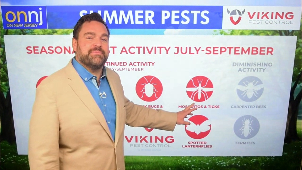 Прогноз погоды в штате Нью-Джерси, представленный компанией Viking Pest Control &ndash; 12 июня 2026 г.