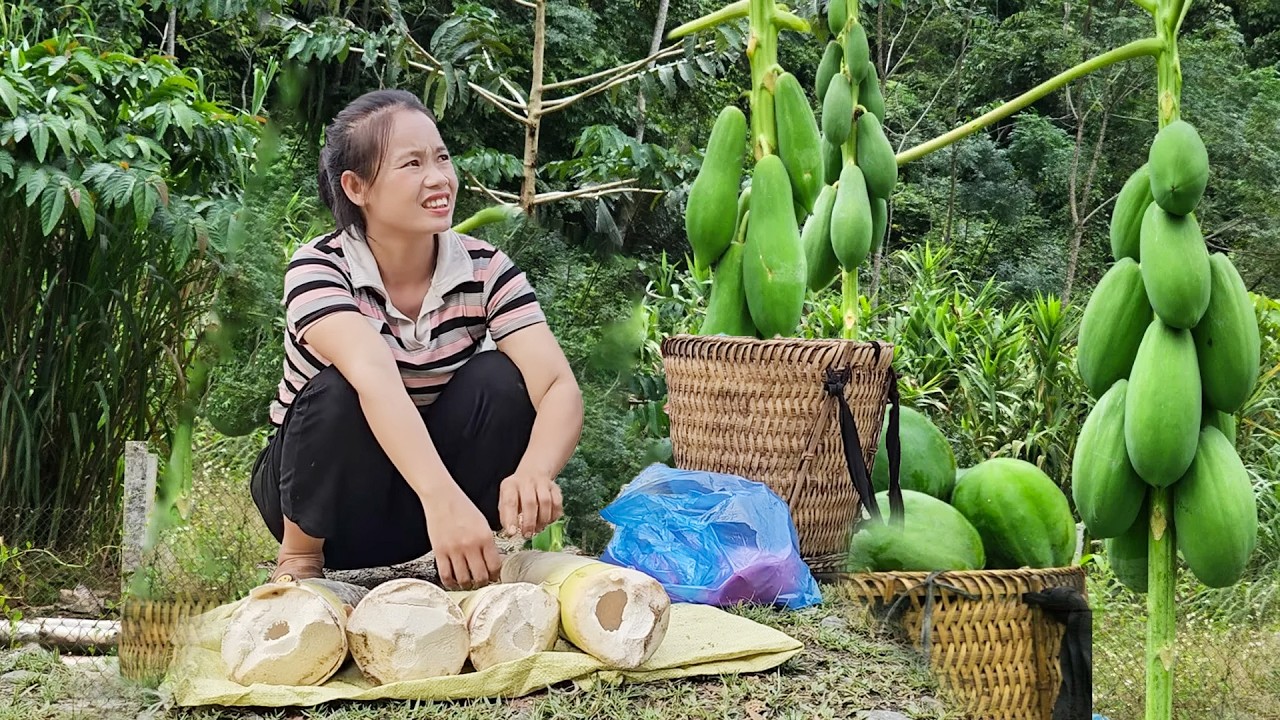 Loofah Explained | Wild Taro in Forest – 5 Simple Bamboo Shoots Harvest Secrets