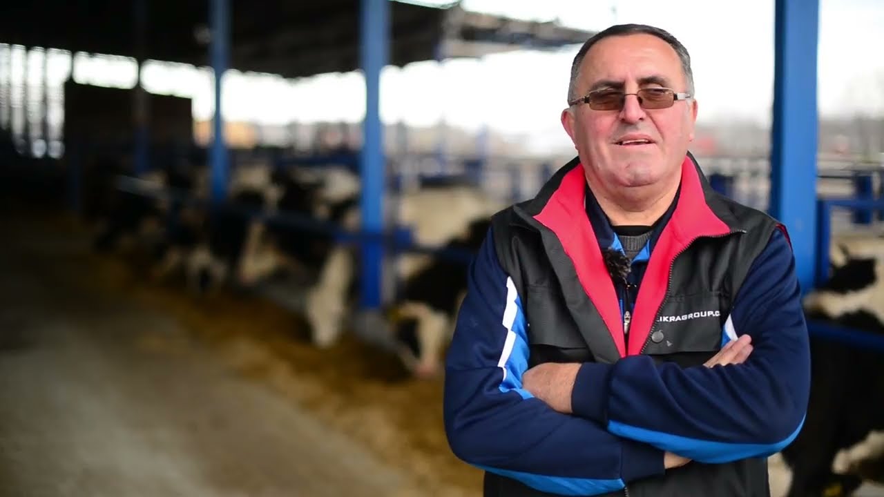 Naša priča ep.127 26.01.2017.  Bečej - farma krava